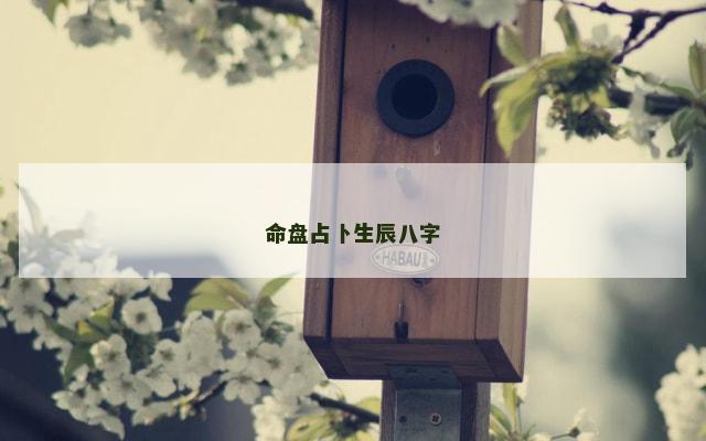 命盘占卜生辰八字