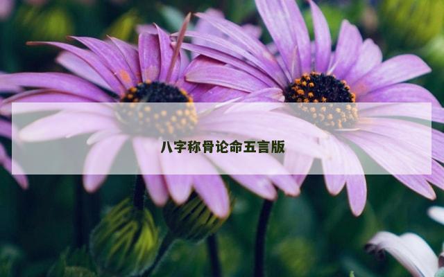 八字称骨论命五言版