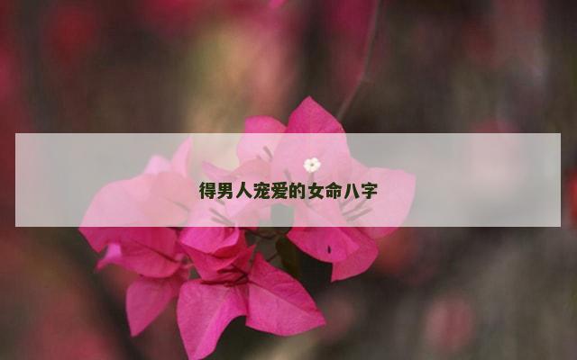 得男人宠爱的女命八字