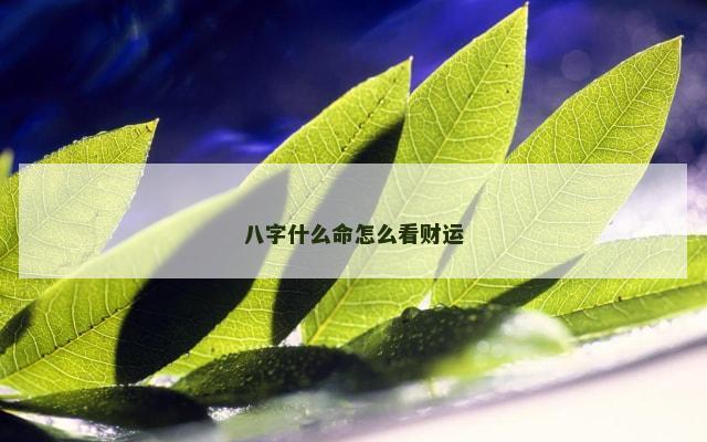 八字什么命怎么看财运