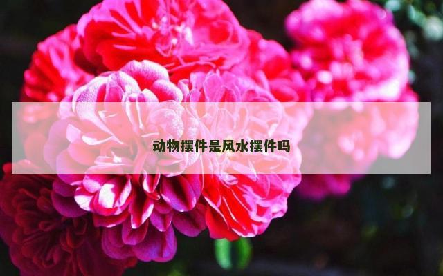 动物摆件是风水摆件吗