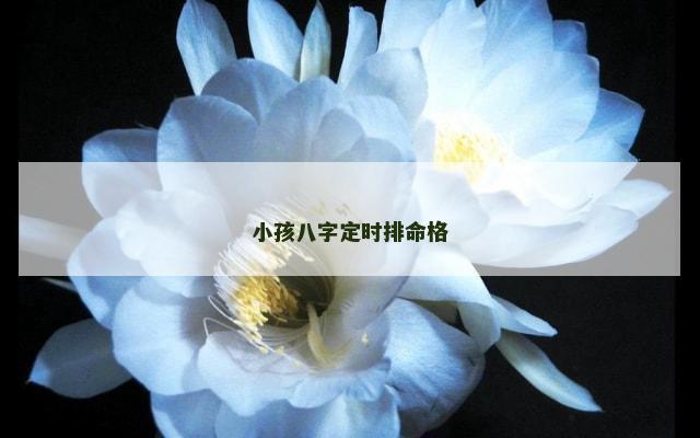 小孩八字定时排命格