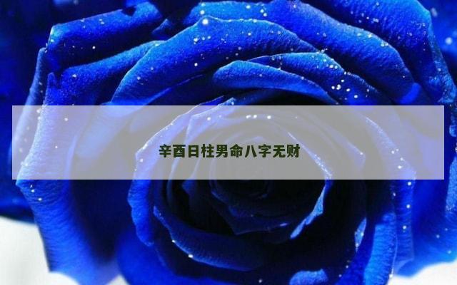 辛酉日柱男命八字无财