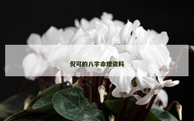 倪可的八字命理资料
