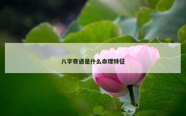 八字奇遇是什么命理特征