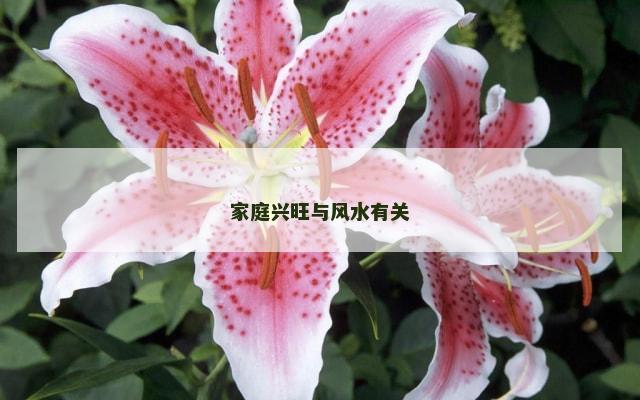 家庭兴旺与风水有关