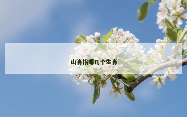 山肖指哪几个生肖
