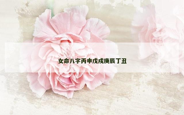 女命八字丙申戊戍庚辰丁丑