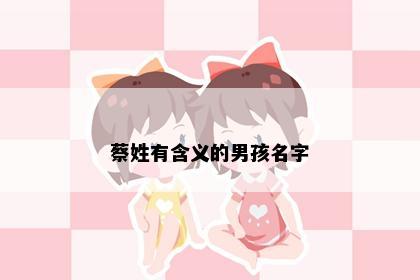 蔡姓有含义的男孩名字