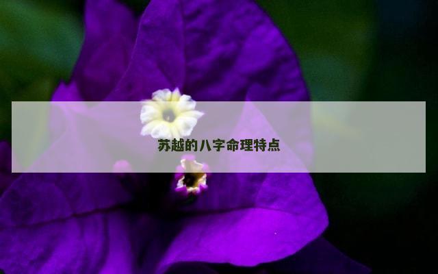 苏越的八字命理特点