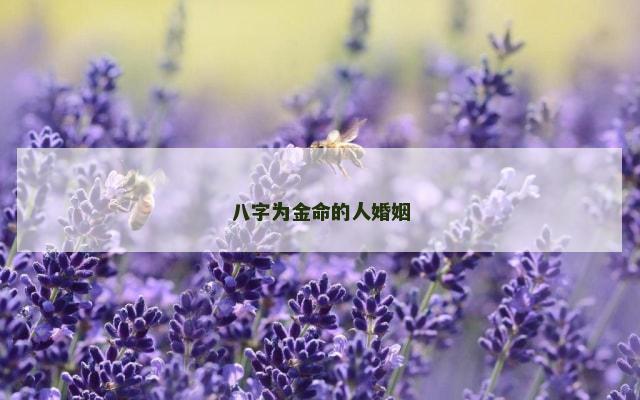 八字为金命的人婚姻