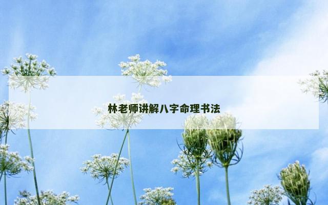 林老师讲解八字命理书法