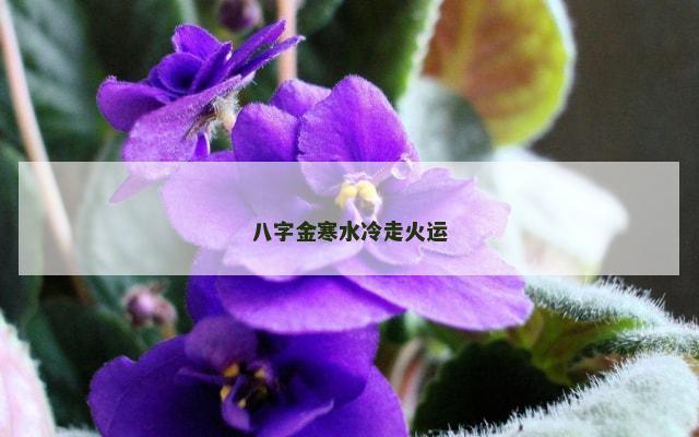 八字金寒水冷走火运