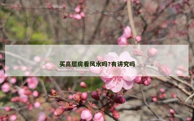 买高层房看风水吗?有讲究吗