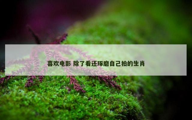 喜欢电影 除了看还琢磨自己拍的生肖