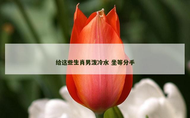 给这些生肖男泼冷水 坐等分手