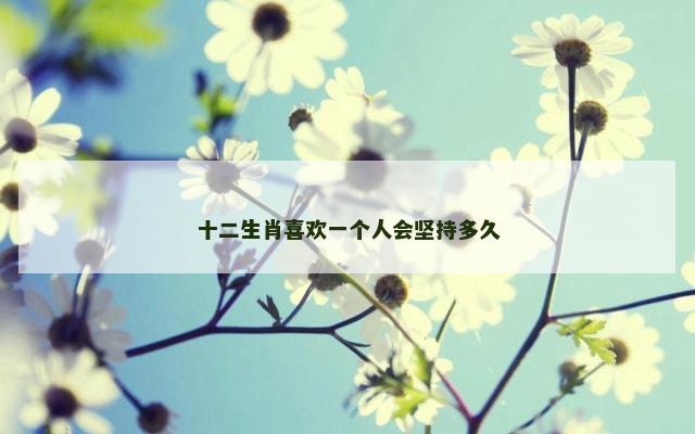 十二生肖喜欢一个人会坚持多久