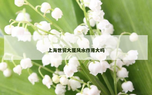 上海世贸大厦风水作用大吗