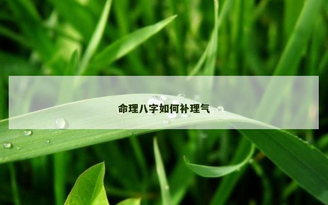 命理八字如何补理气