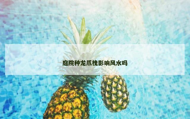 庭院种龙爪槐影响风水吗