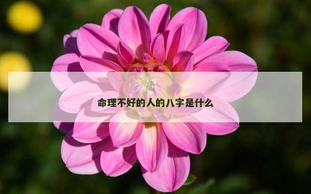 命理不好的人的八字是什么