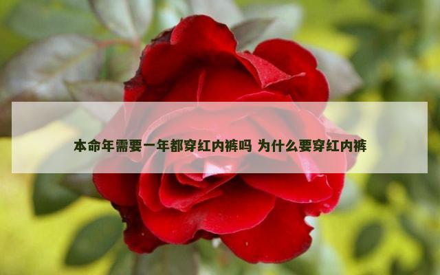 本命年需要一年都穿红内裤吗 为什么要穿红内裤