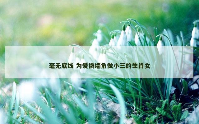 毫无底线 为爱撬墙角做小三的生肖女