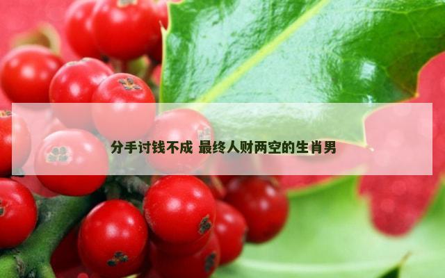 分手讨钱不成 最终人财两空的生肖男