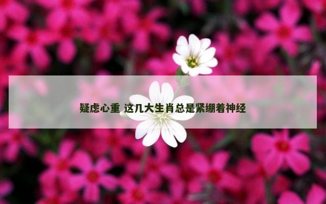 疑虑心重 这几大生肖总是紧绷着神经