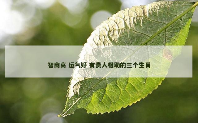 智商高 运气好 有贵人相助的三个生肖
