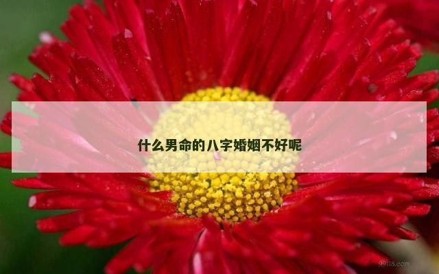 什么男命的八字婚姻不好呢