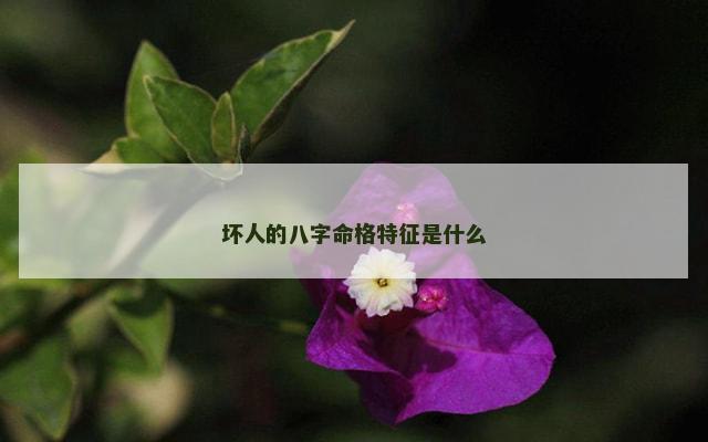坏人的八字命格特征是什么