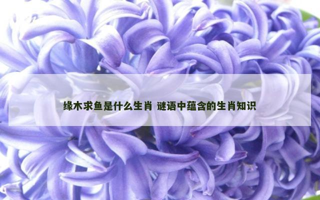 缘木求鱼是什么生肖 谜语中蕴含的生肖知识