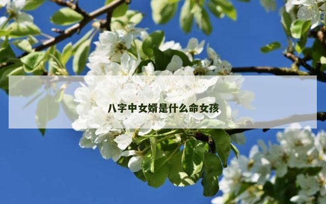 八字中女婿是什么命女孩