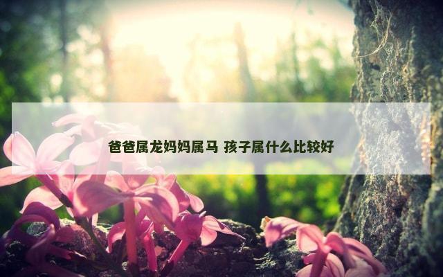 爸爸属龙妈妈属马 孩子属什么比较好