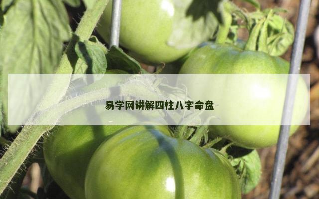 易学网讲解四柱八字命盘