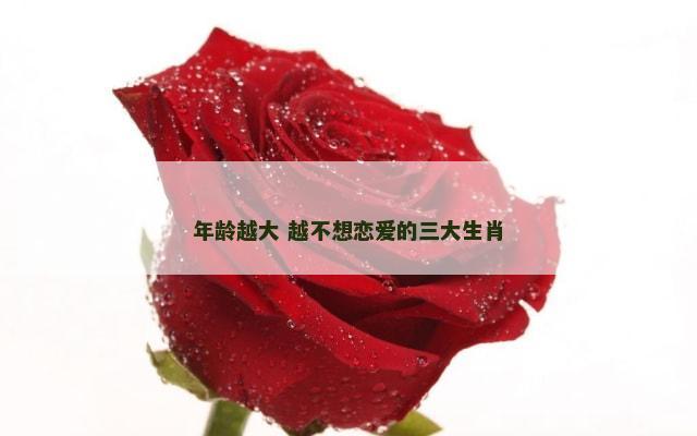 年龄越大 越不想恋爱的三大生肖