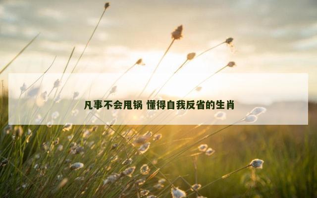凡事不会甩锅 懂得自我反省的生肖