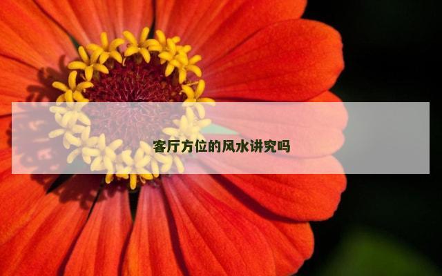 客厅方位的风水讲究吗