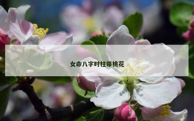 女命八字时柱带桃花
