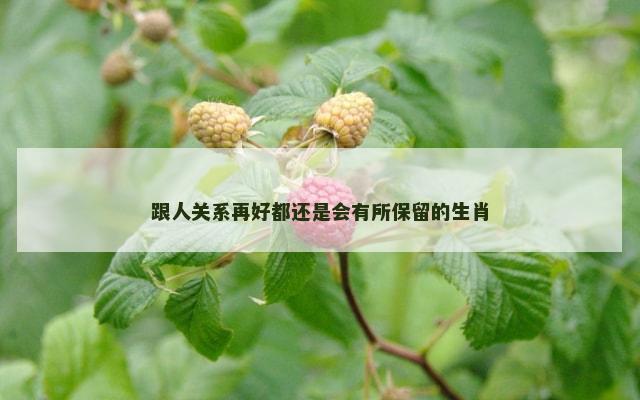 跟人关系再好都还是会有所保留的生肖