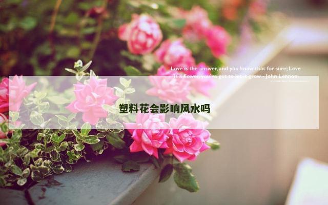 塑料花会影响风水吗