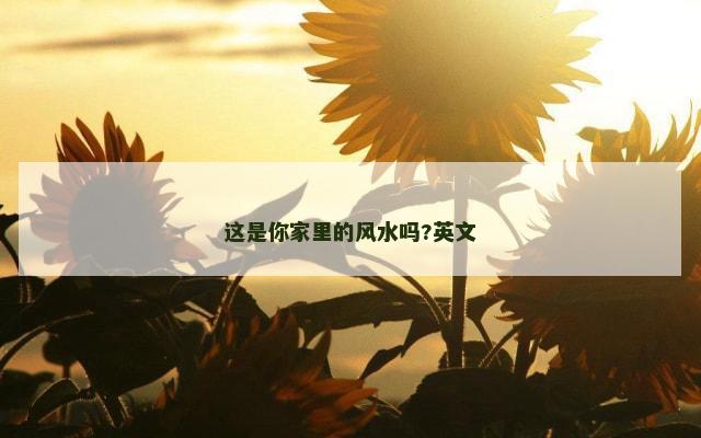 这是你家里的风水吗?英文