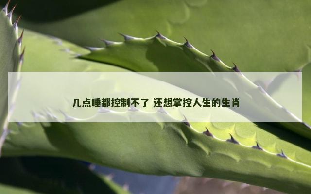 几点睡都控制不了 还想掌控人生的生肖