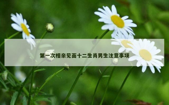 第一次相亲见面十二生肖男生注意事项