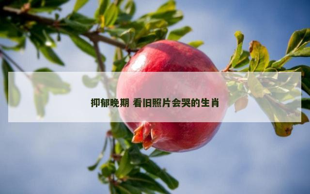 抑郁晚期 看旧照片会哭的生肖