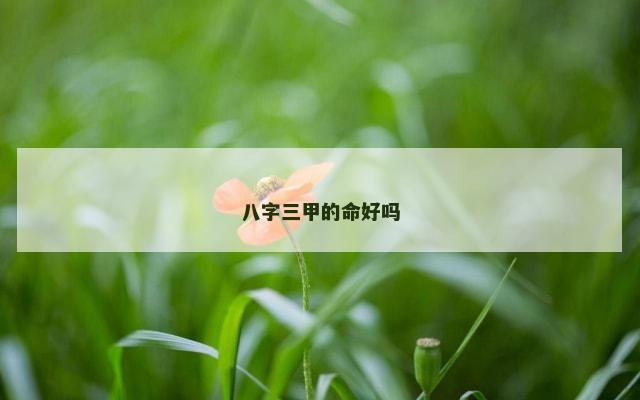 八字三甲的命好吗