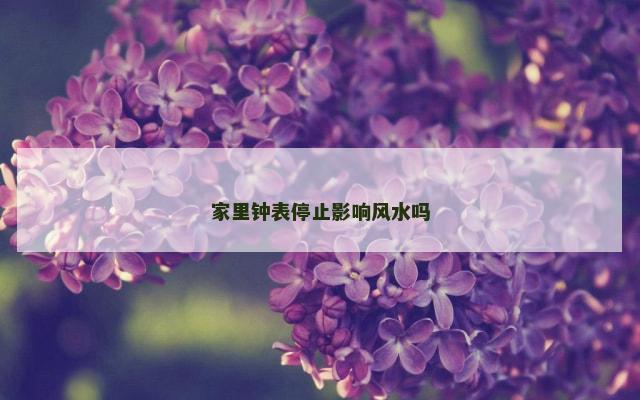 家里钟表停止影响风水吗