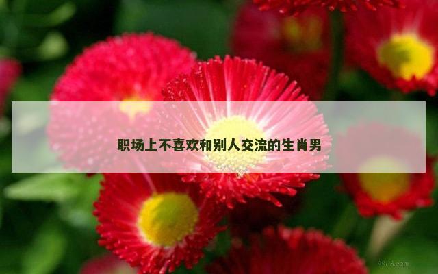 职场上不喜欢和别人交流的生肖男