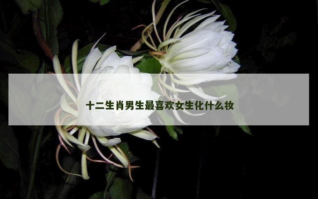 十二生肖男生最喜欢女生化什么妆